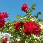 Salzburg