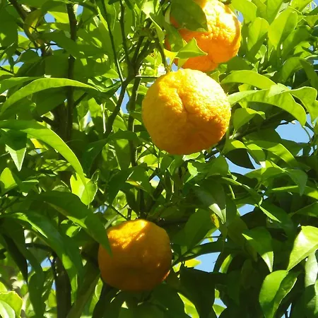 Appartamento Salzburg *